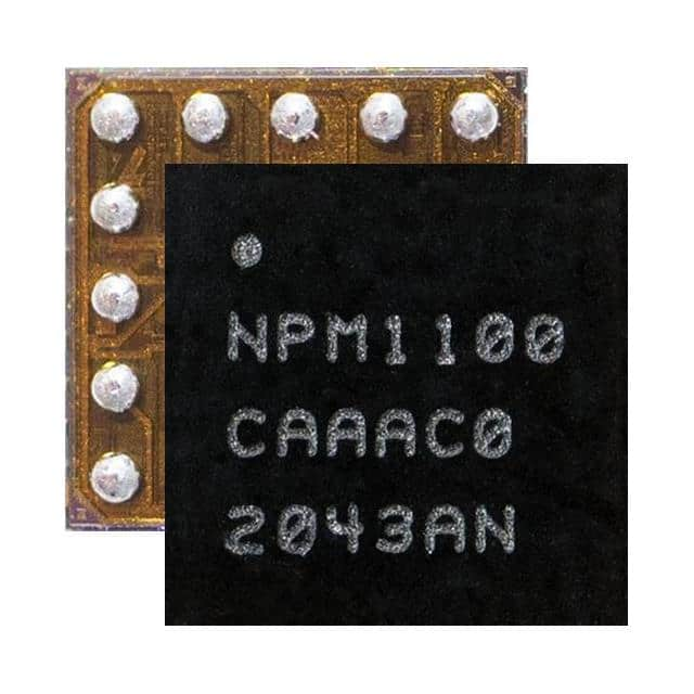 NPM1100-CAAA-E-R7